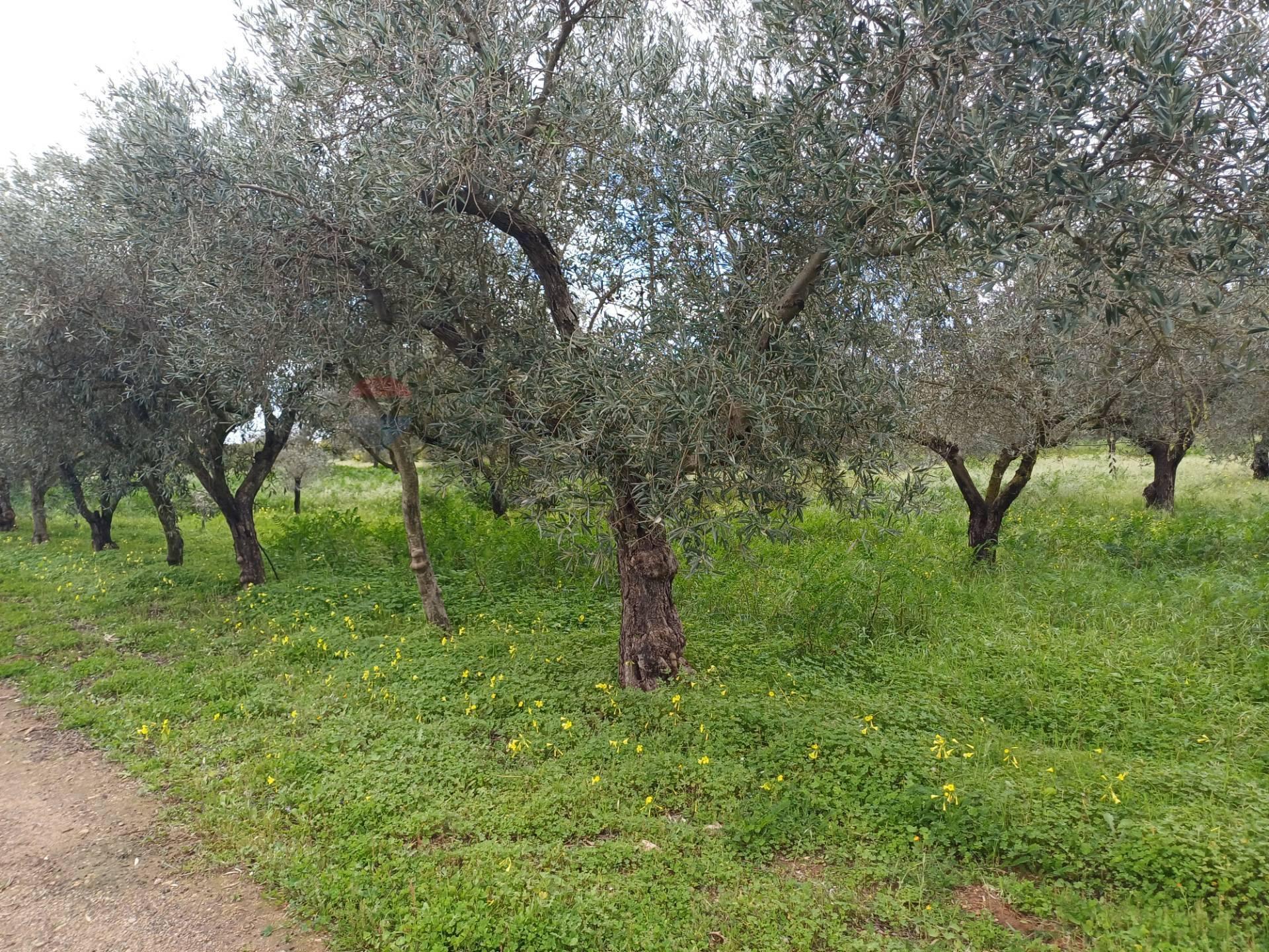 Villa in C/da Piraino, Chiaramonte Gulfi