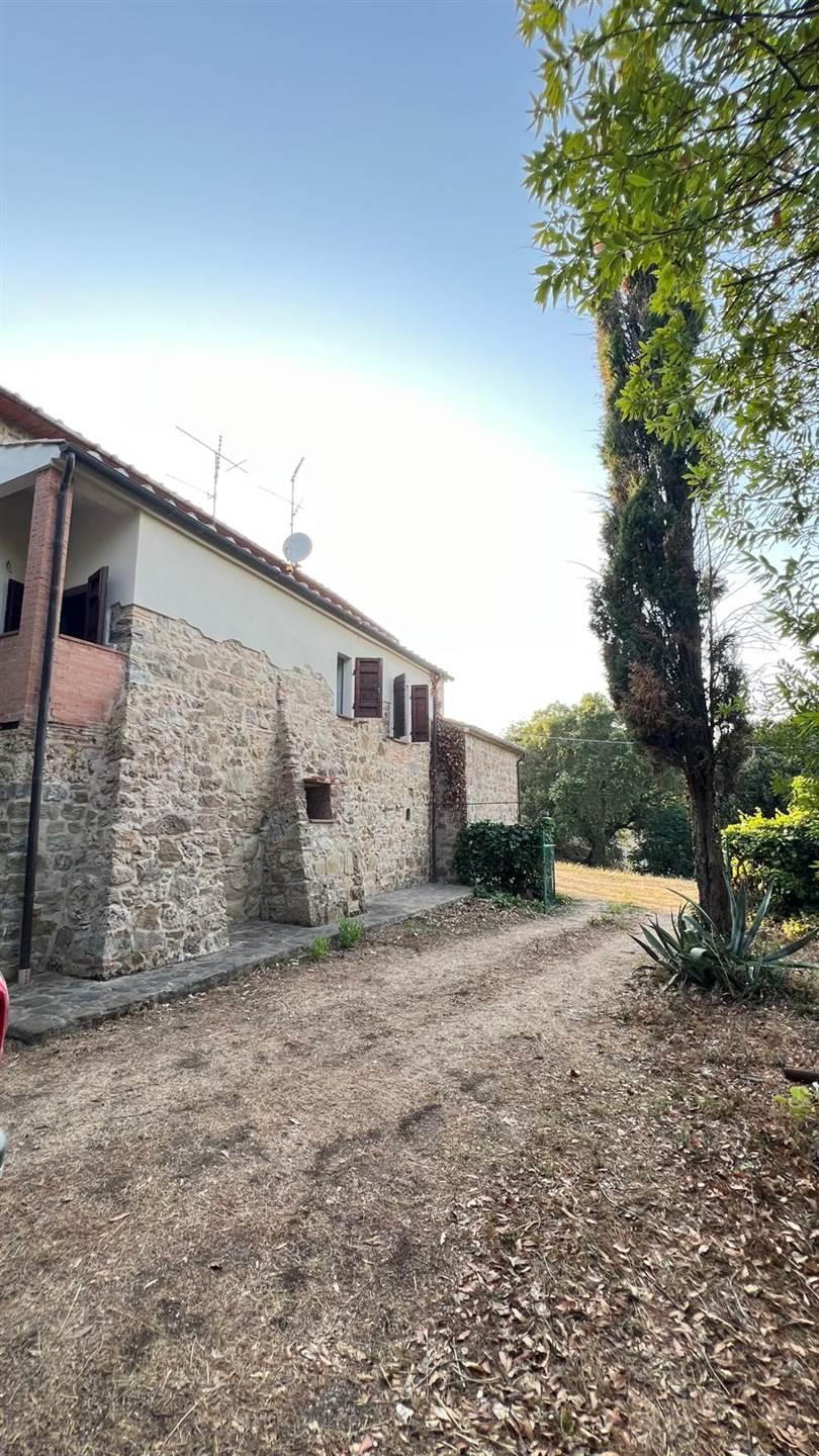 Rustico, Massa Marittima — foto 2 di 5