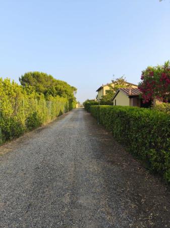 Terratetto unifamiliare in Via Terra dei Ceci, Cecina