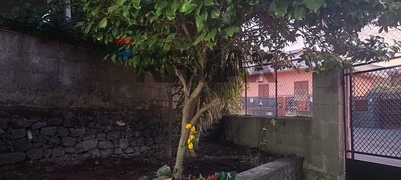 Casa indipendente in Corso Michelangelo Buonarroti 49, Trecastagni — foto 3 di 5