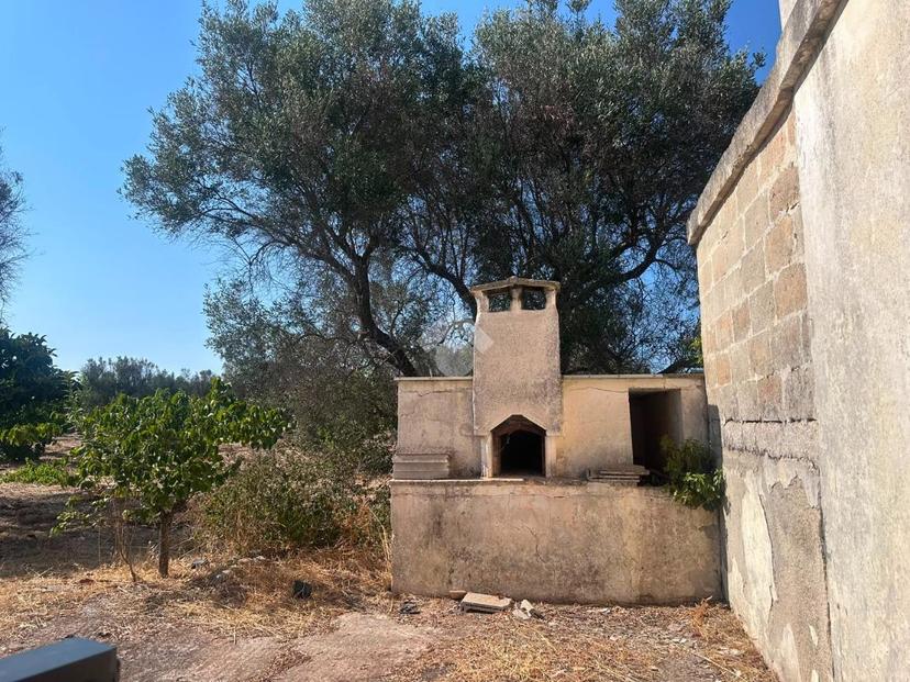 Rustico in Contrada Tredicina, Francavilla Fontana — foto 2 di 5