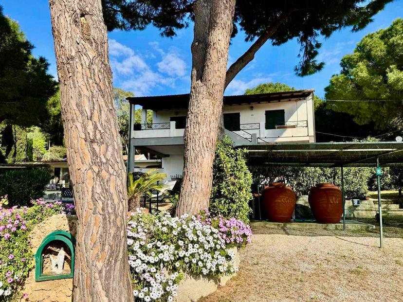 Terratetto, Capoliveri — foto 4 di 5