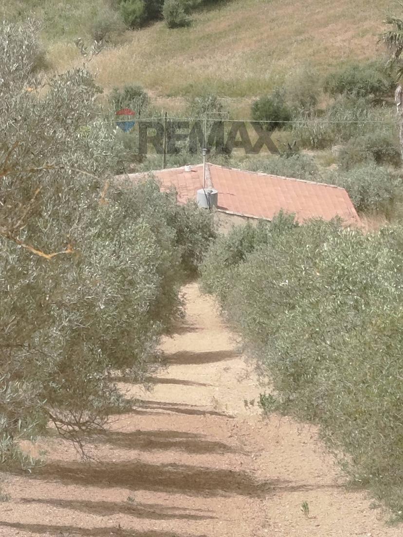 Villa in Via Venanzio Marvuglia Snc, Caltagirone