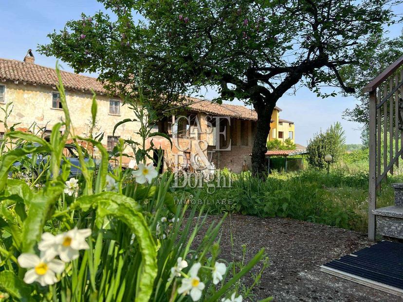Casa indipendente, Bressana Bottarone — foto 5 di 5
