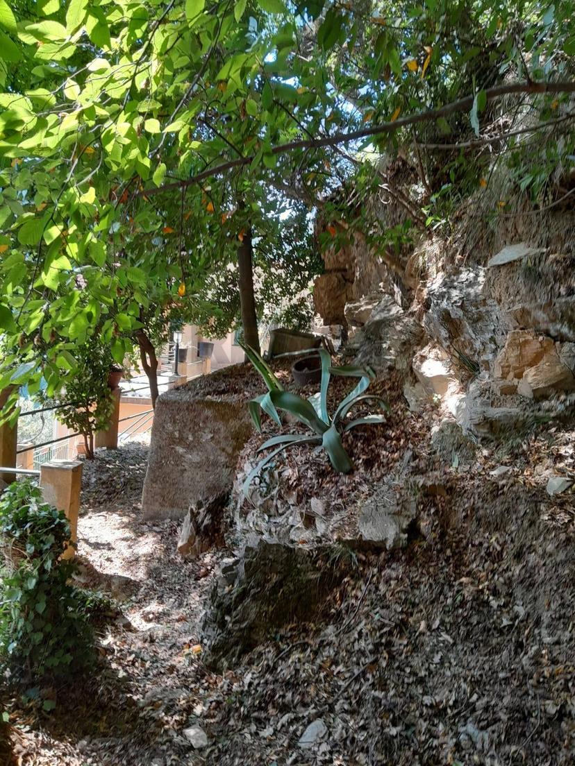 Casa indipendente, Bargagli — foto 3 di 5
