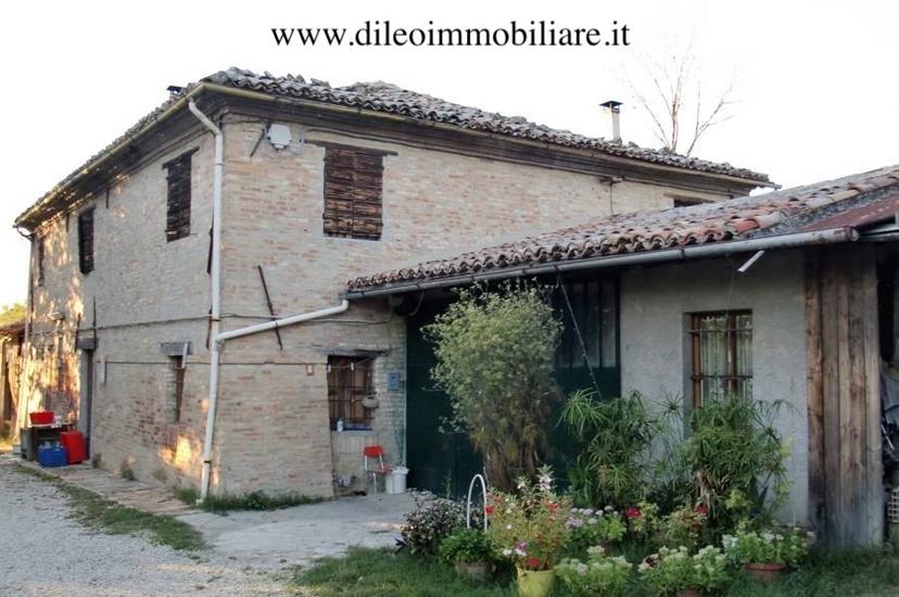 Rustico, Pesaro
