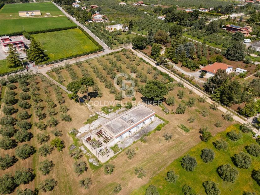 Villa in Strada Esterna Regio Bosco Comunale 13, Corato — foto 2 di 5