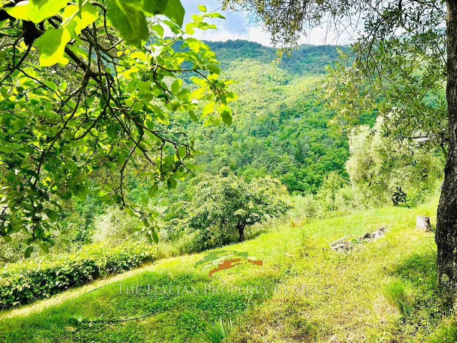Casa indipendente in Località Madonna di Campagna, 18037 Pigna Im, Pigna