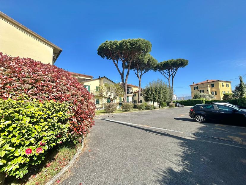 Quadrilocale, Ameglia