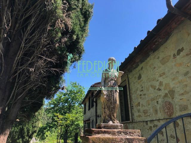 Rustico, Lucca