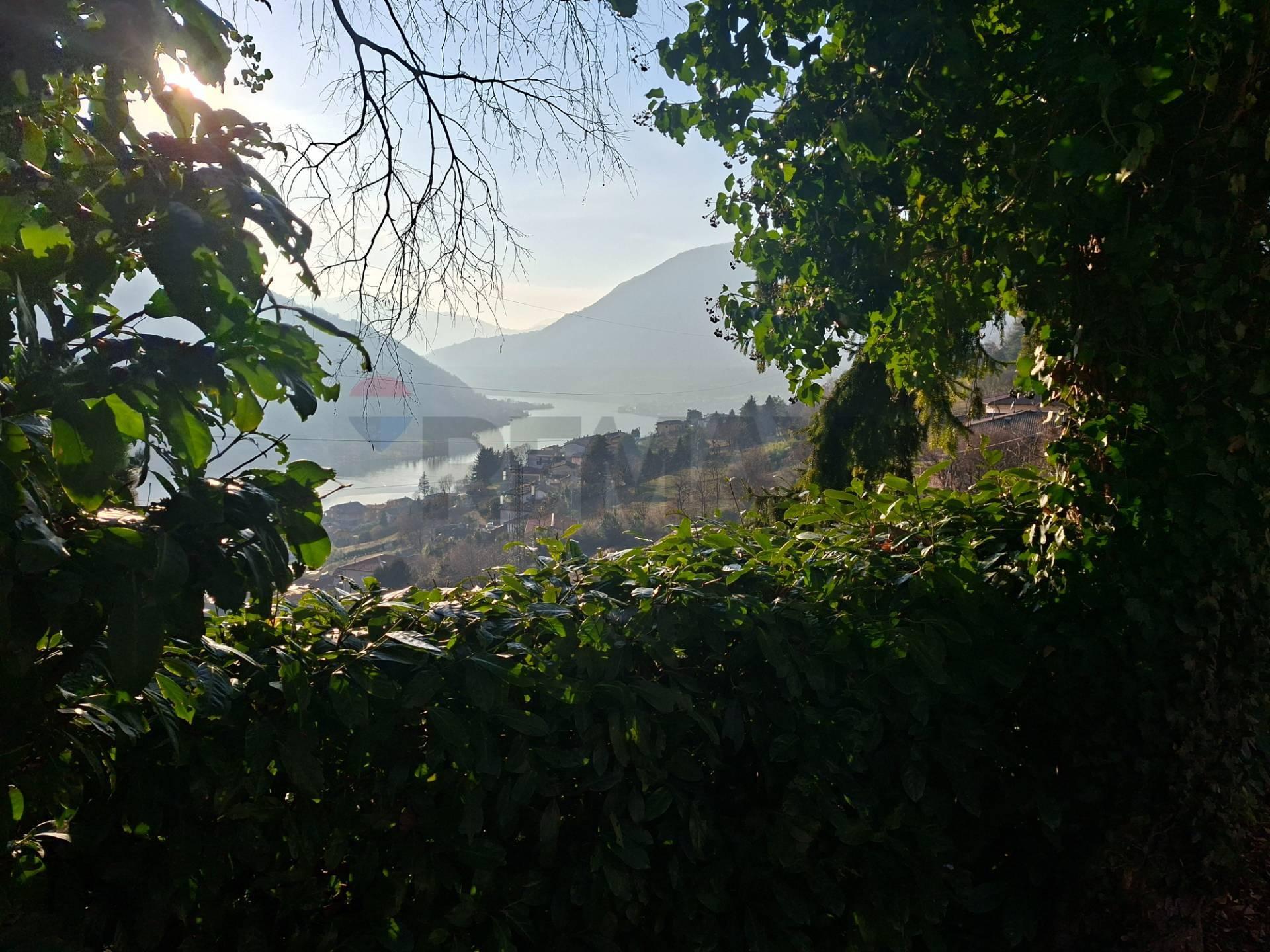 Quadrilocale, Endine Gaiano