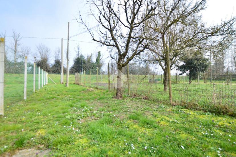 Casa indipendente in Via Argine S. Marco, San Donà di Piave — foto 2 di 5