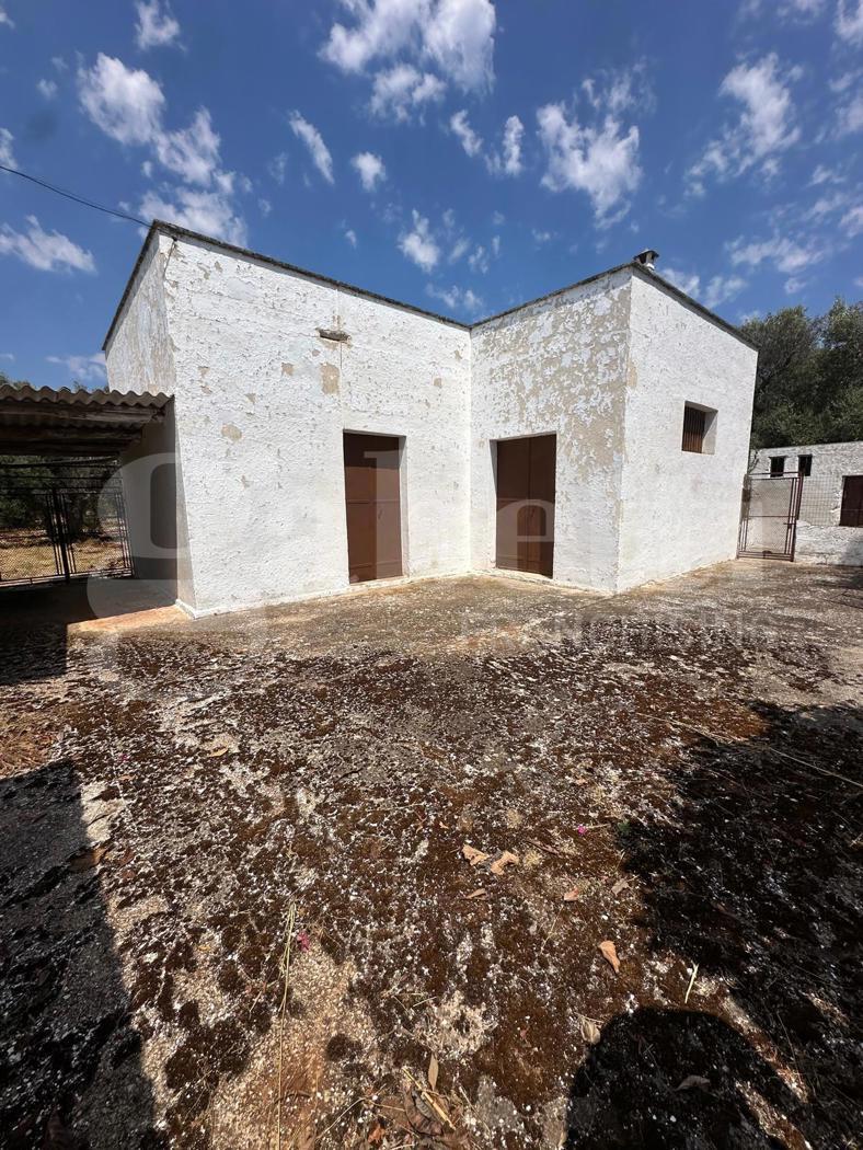 Villa trifamiliare in C. da Fragnite Sn, Ceglie Messapica — foto 3 di 5