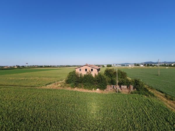 Casa colonica, Spilamberto