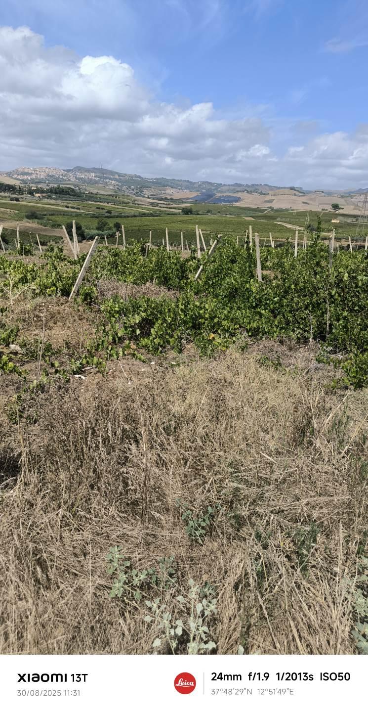 Rustico, Salemi — foto 4 di 5