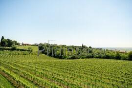 Trilocale in Viale Garibaldi 30, Colognola ai Colli — foto 3 di 5