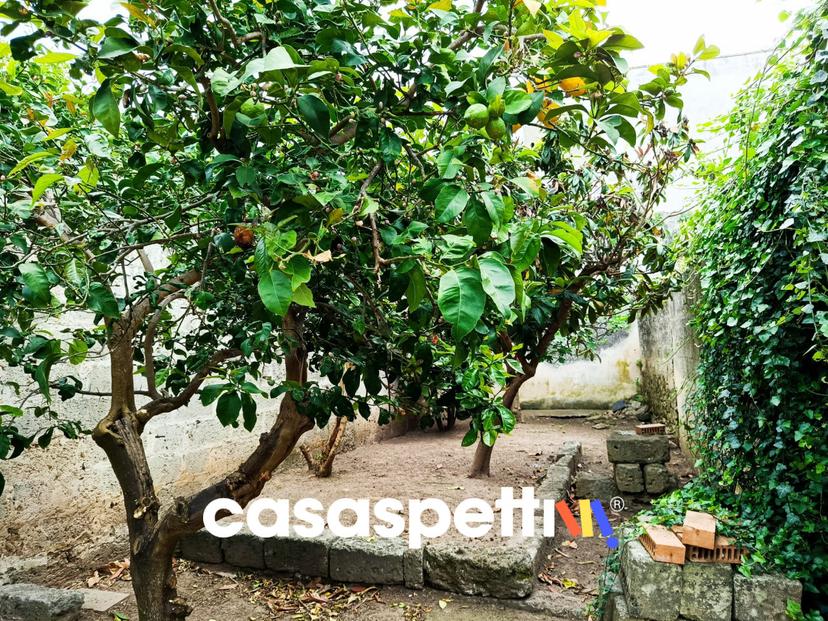 Trilocale in Corso Umberto, Trepuzzi — foto 2 di 5