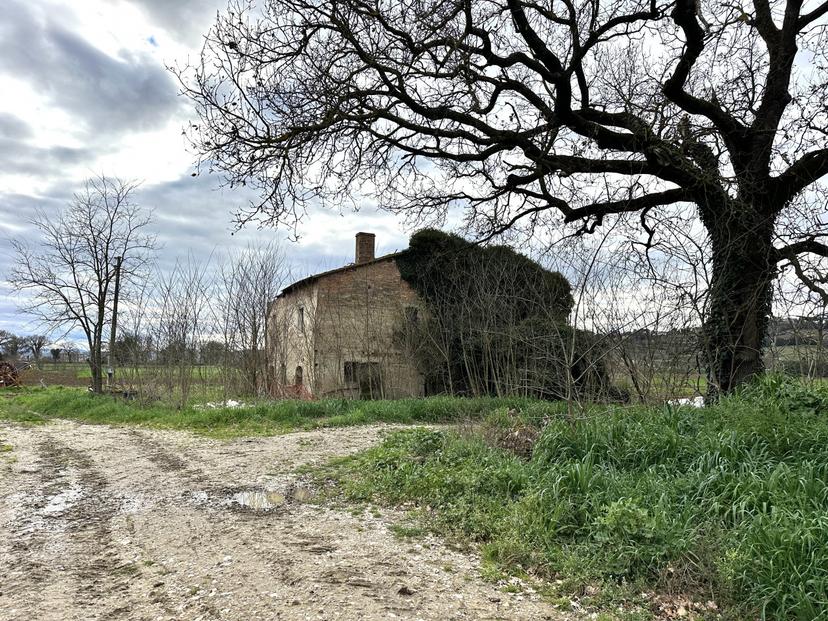 Rustico, Perugia
