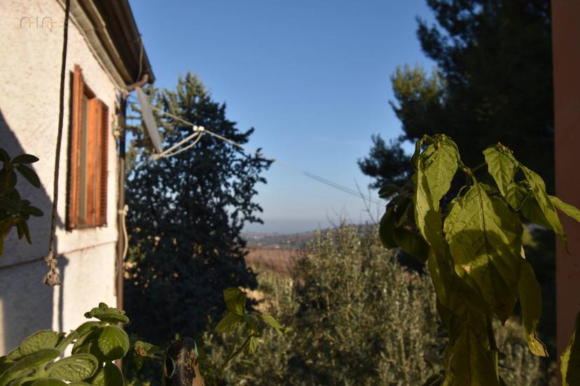 Villa in Contrada Pianacciole, Ripatransone — foto 4 di 5