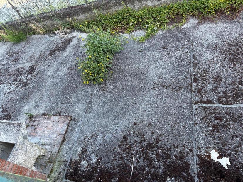 Quadrilocale, Castelnuovo Magra — foto 2 di 5