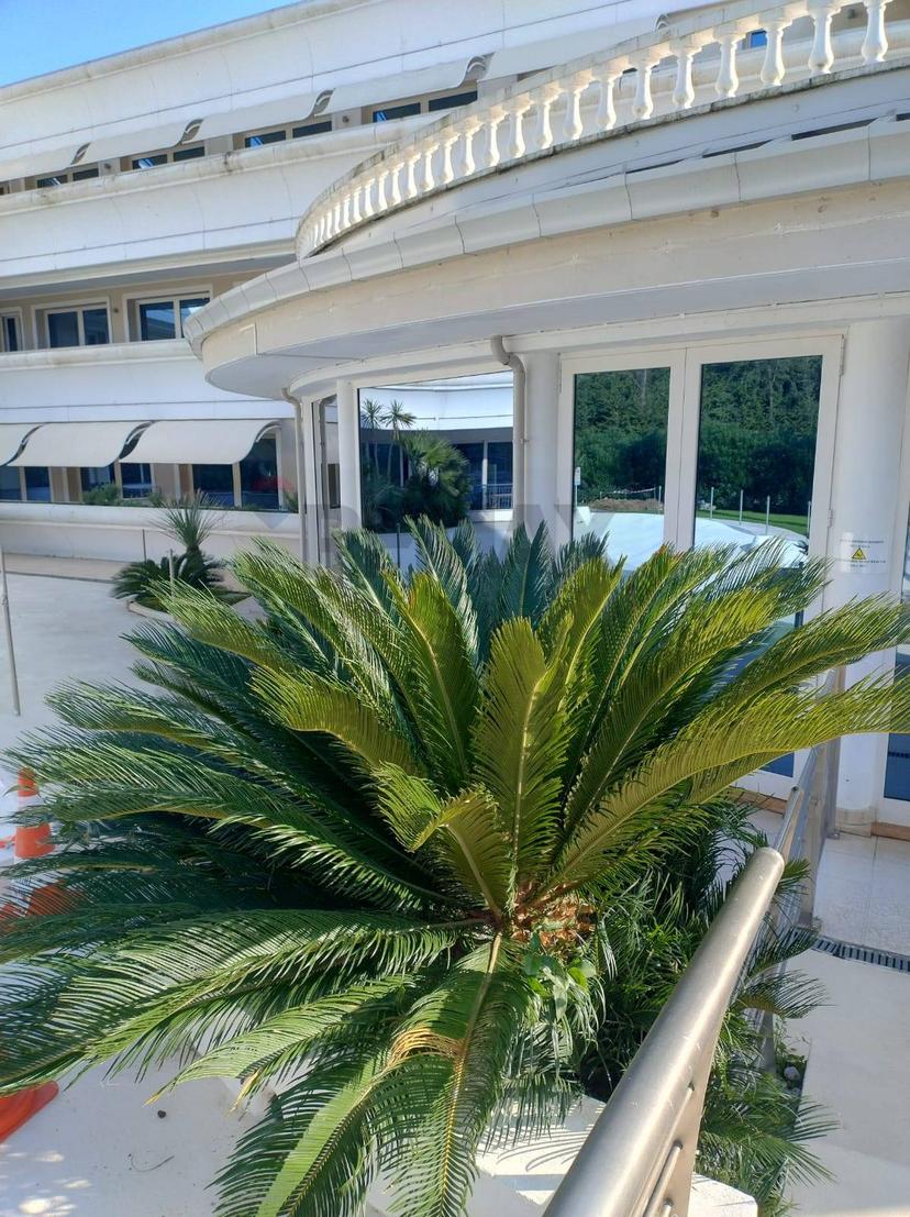 Monolocale, Desenzano del Garda — foto 5 di 5