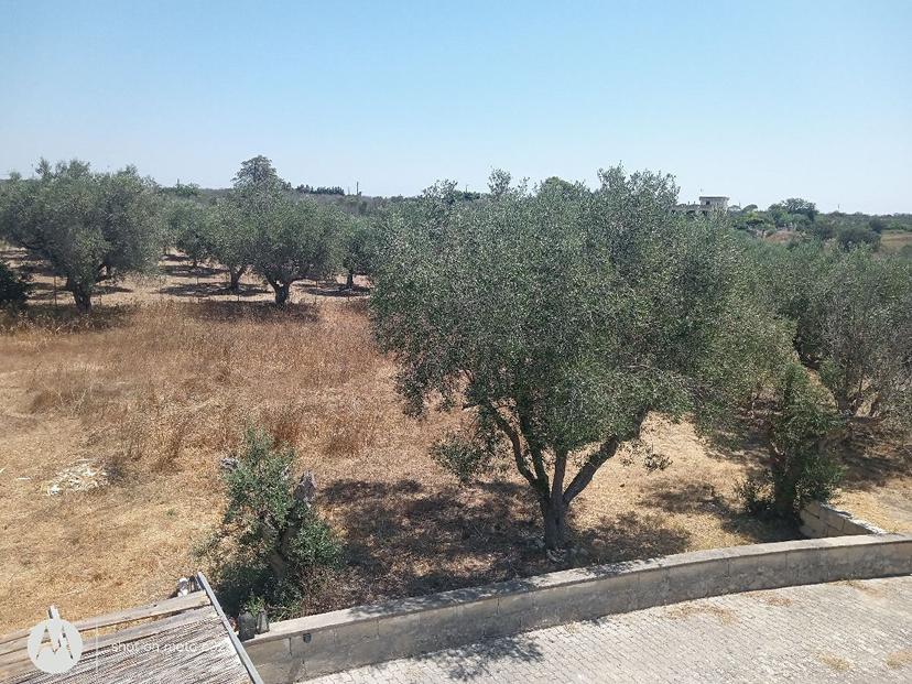 Villa in Via Risorgimento 17, Melendugno — foto 5 di 5