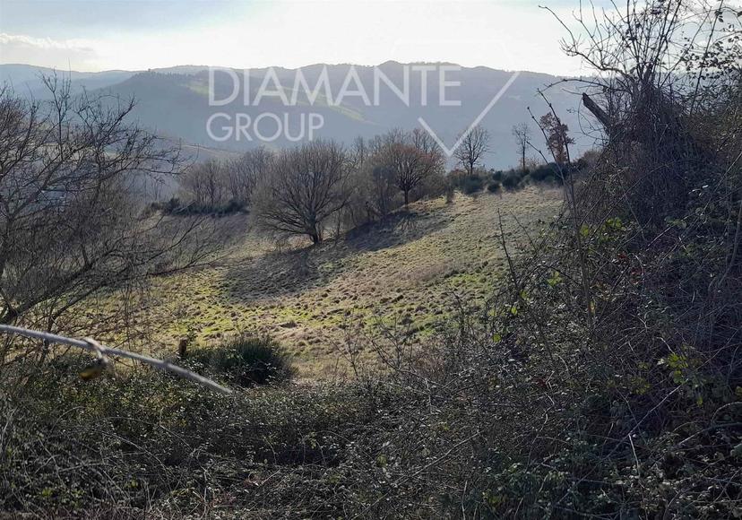 Rustico, Gubbio — foto 5 di 5