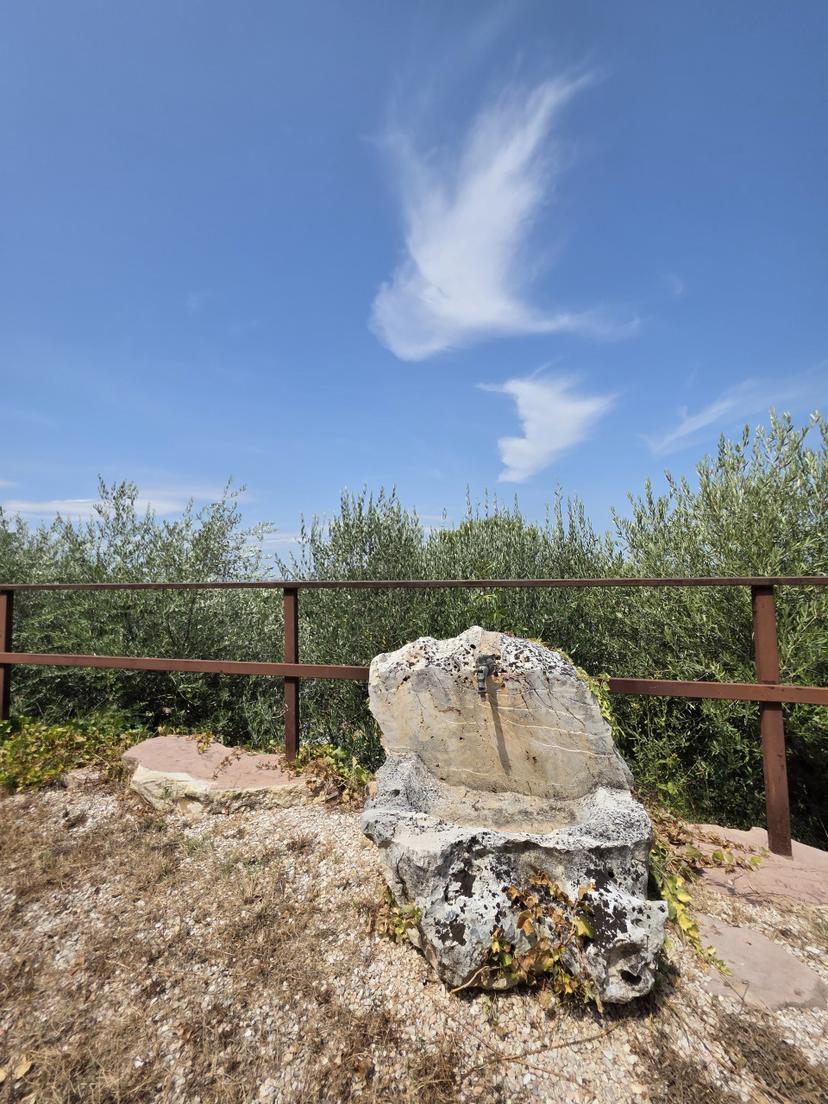 Casale, Torgiano — foto 3 di 5