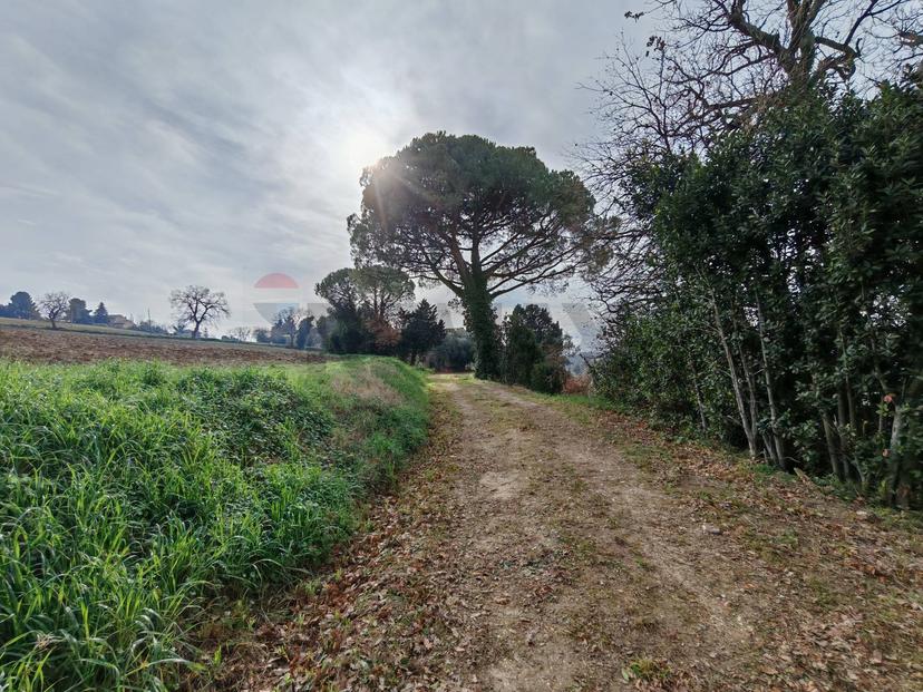 Rustico in Contrada Castelnuovo 114, Recanati — foto 5 di 5