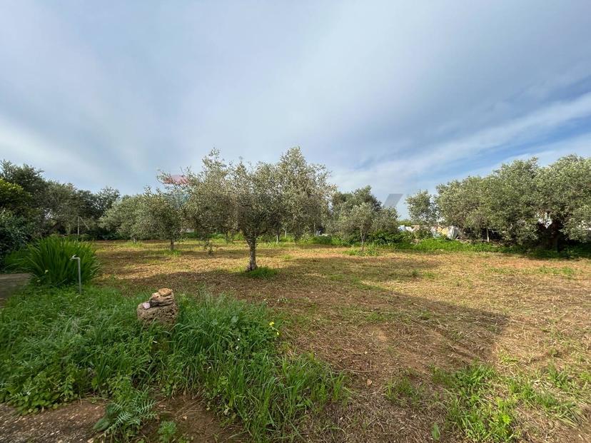 Casa indipendente in Strada Lombardo 109, Misiliscemi — foto 4 di 5