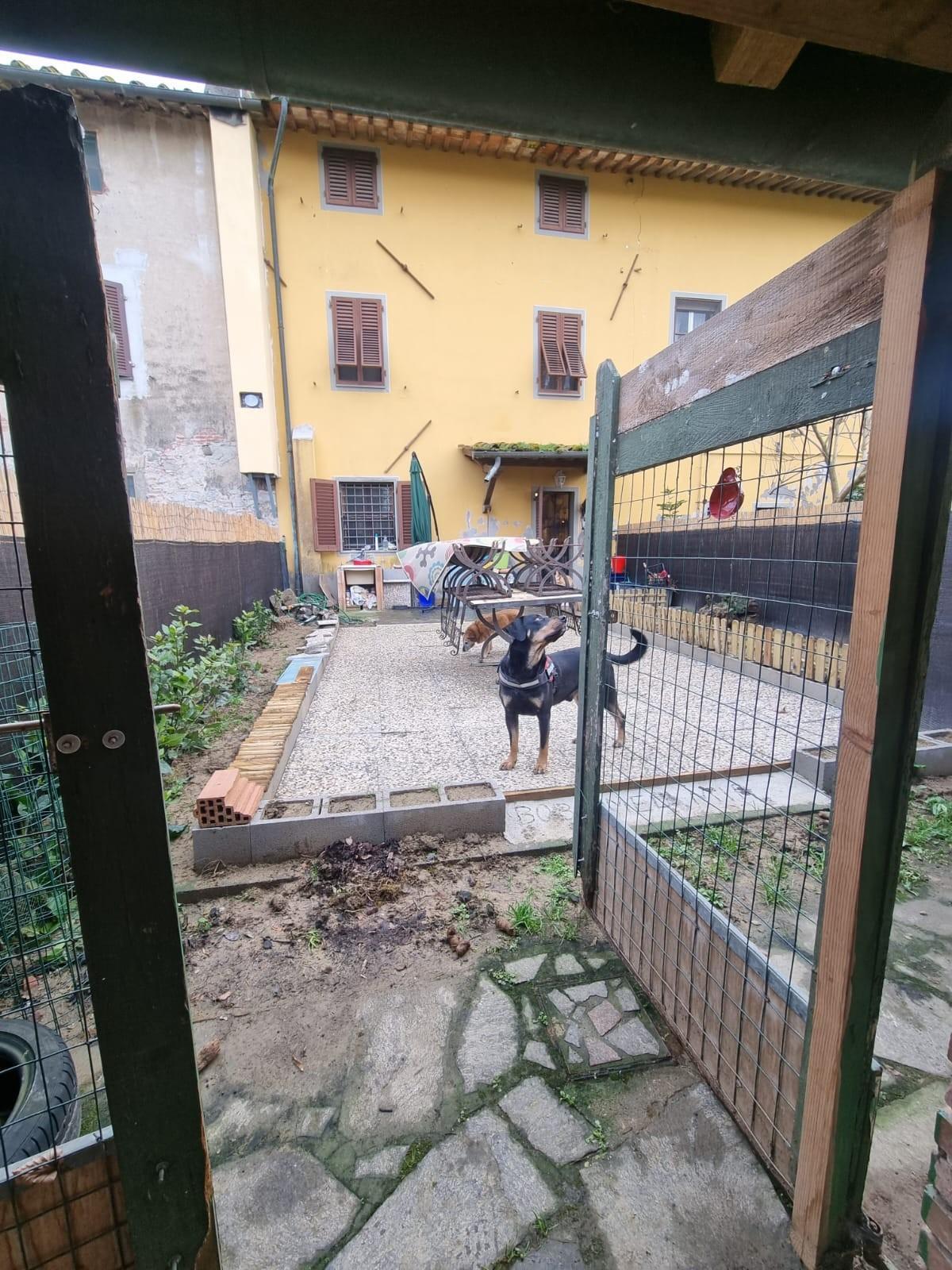 Terratetto in a Diaccio 23, Porcari