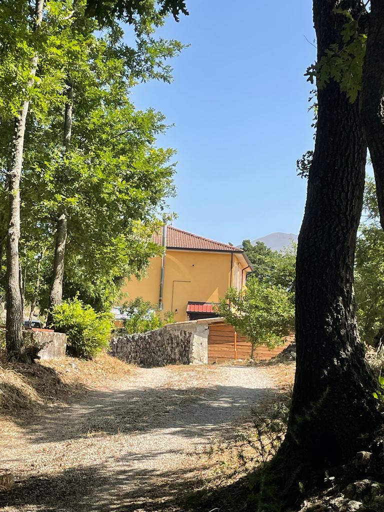 Villa a schiera, Tramutola — foto 2 di 5