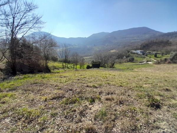 Rustico in Via Pirio, Torreglia — foto 5 di 5