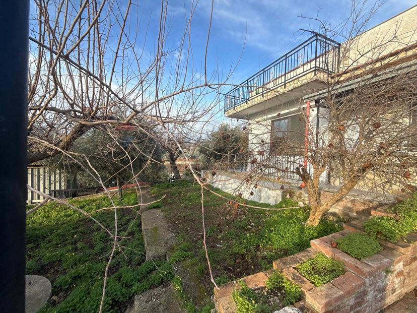 Villa, Bolognetta — foto 4 di 5