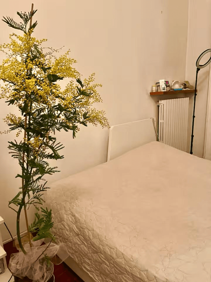 Trilocale in Via Valtellina, Milano