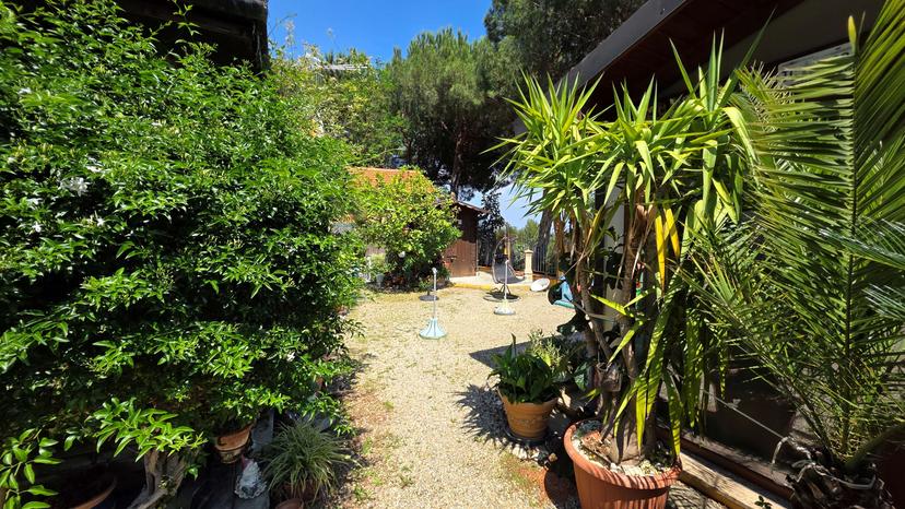 Casa indipendente in Via Pineta 70, Cisano sul Neva — foto 5 di 5