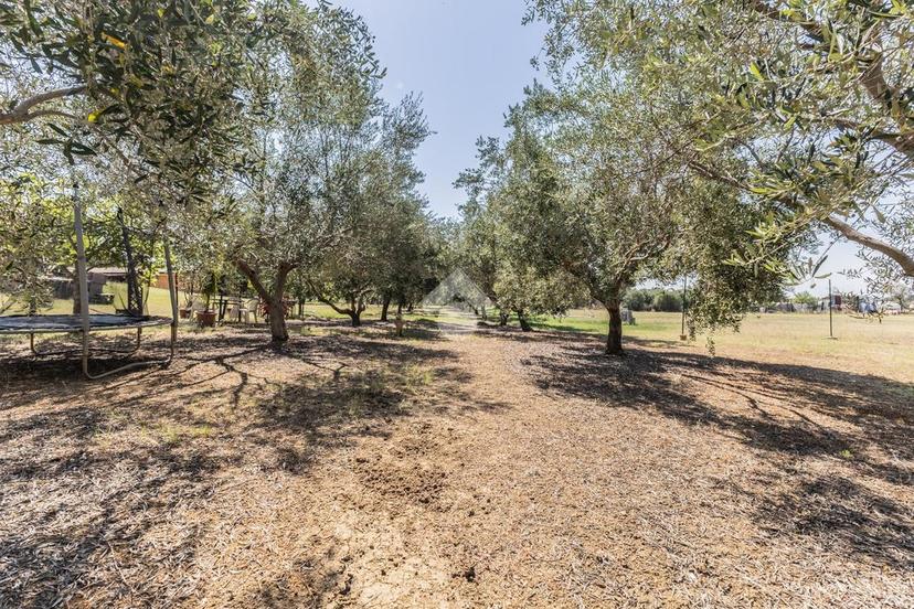 Villa in Via del Sasso 57, Cerveteri — foto 5 di 5