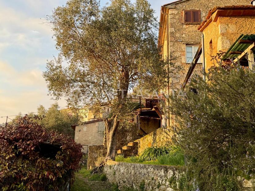 Porzione di casa, Pietrasanta — foto 5 di 5
