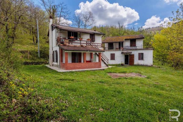 Rustico in Via Provinciale, Careggine — foto 3 di 5