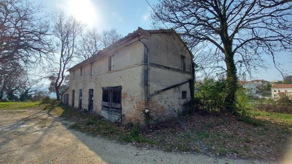 Casa colonica, Mondavio — foto 3 di 4