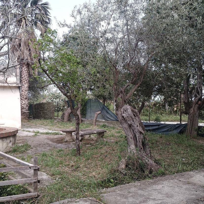Villa, Barcellona Pozzo di Gotto — foto 5 di 5