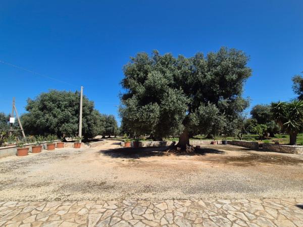 Villa in Contrada Gravinella, Fasano — foto 4 di 5