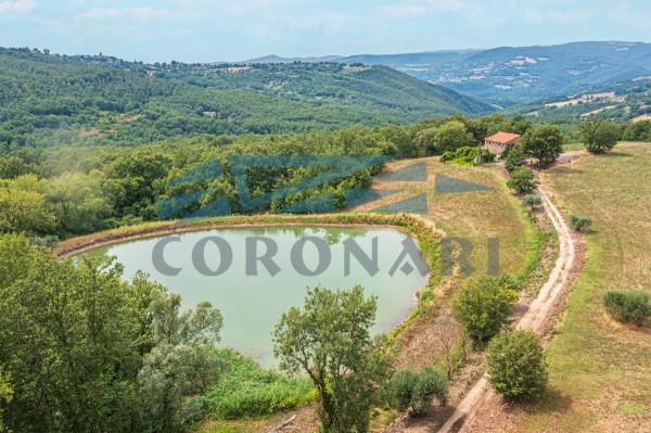 Casale in Vocabolo Poggi-Izzalini, Todi — foto 2 di 5