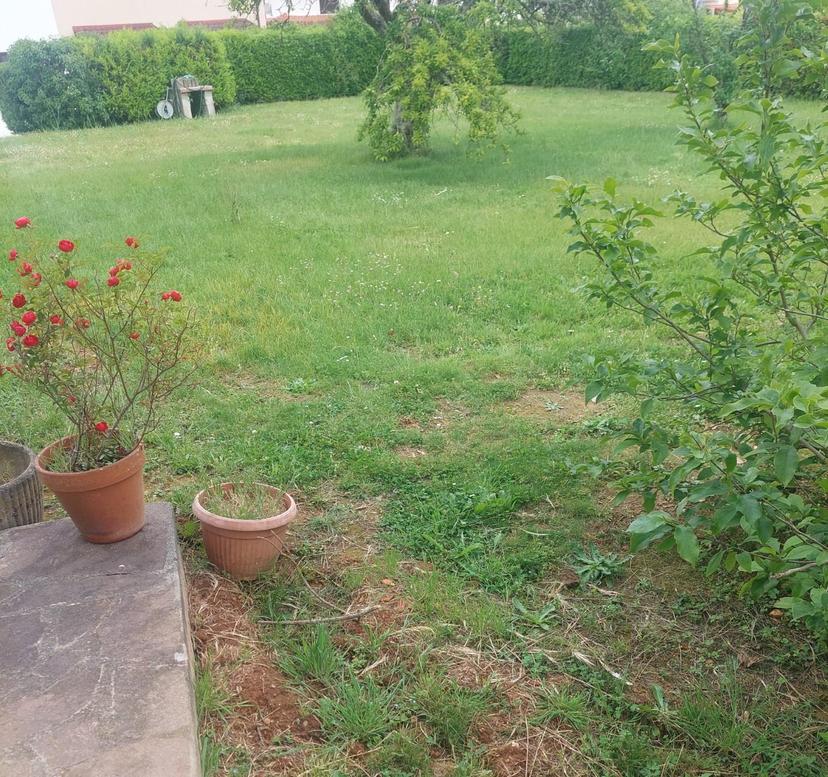 Villa, Castelfranco di Sotto — foto 4 di 5