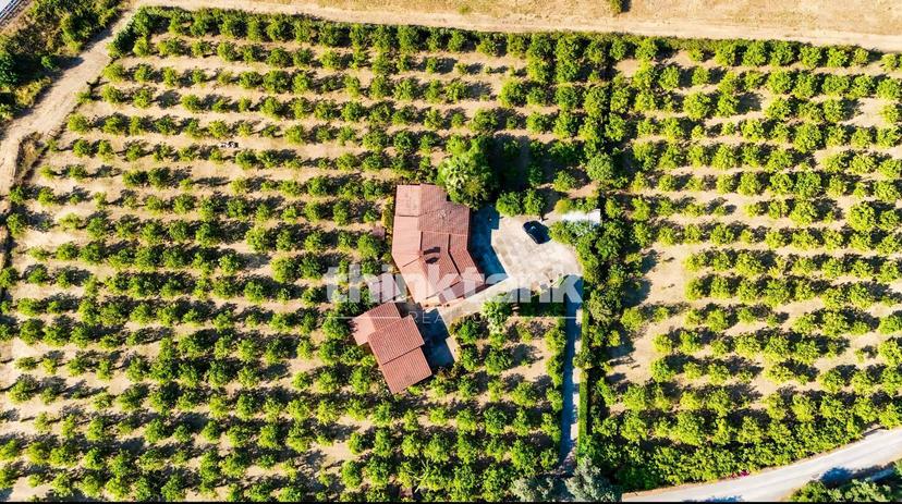 Villa in Via Bella Pettinata, Avola — foto 4 di 5