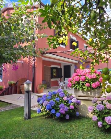 Monolocale in Via Profiti, Maratea — foto 4 di 5