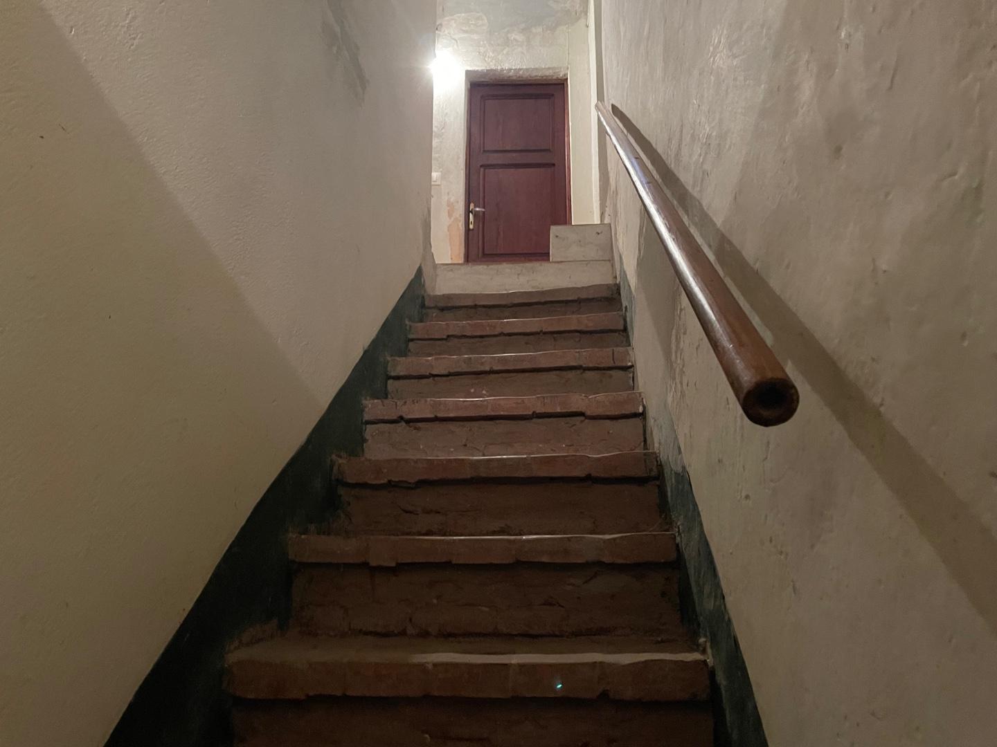 Trilocale, Palaia