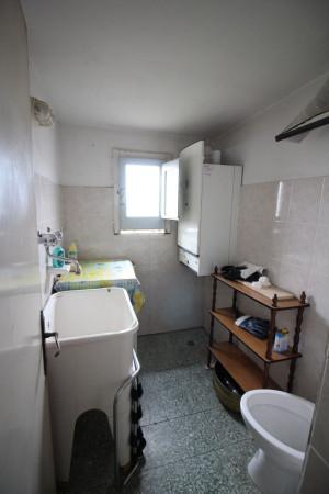 Monolocale in Via Taddeino Taddeini 232, Montespertoli — foto 5 di 5
