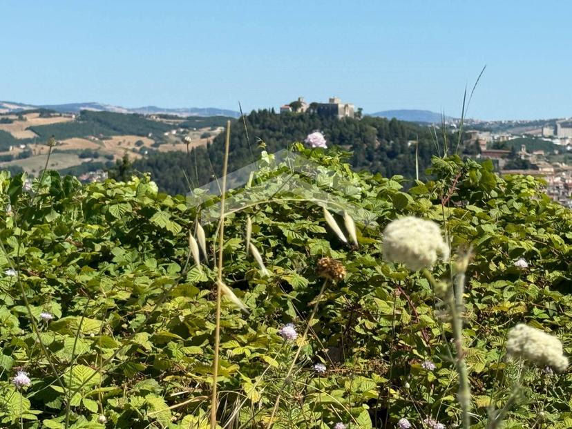 Villa in Via Contrada Cese, Campobasso — foto 5 di 5