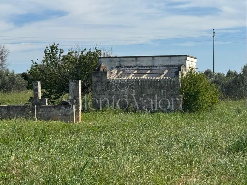 Casa indipendente in Strada Provinciale 262, Matino — foto 2 di 5
